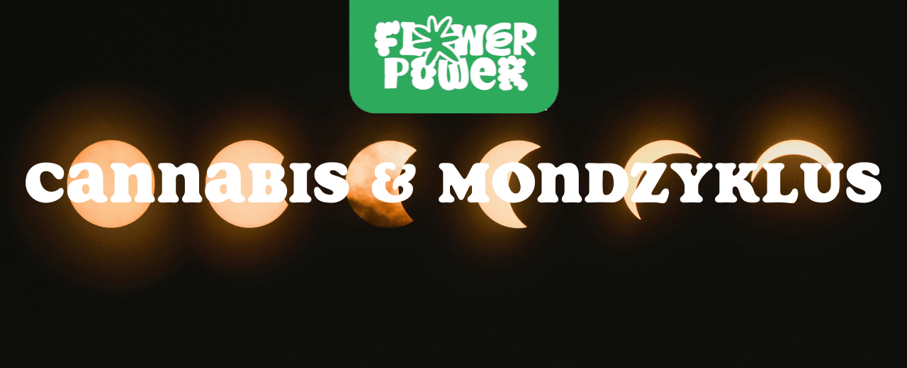 Illustration einer Cannabispflanze unter Vollmond – Cannabis und Mondzyklus im Zusammenhang mit Wachstum und Energie.