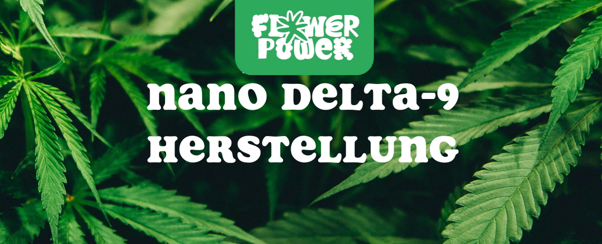 Nano Delta-9 Autofahren – Was sagt das Gesetz & wie sicher ist es?