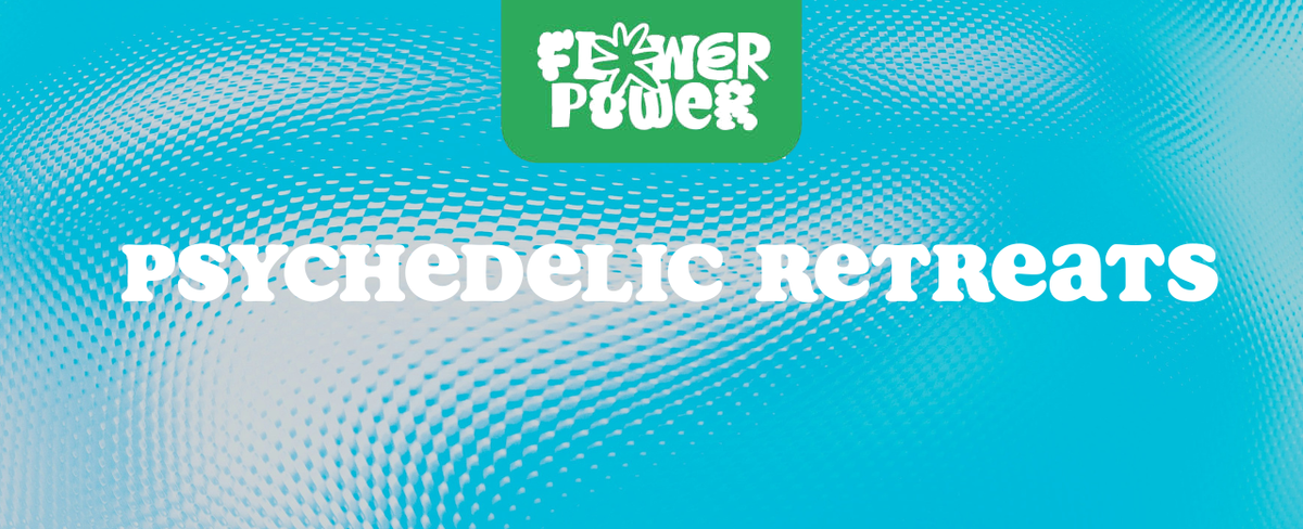 Menschen meditieren in Naturumgebung – Psychedelic Retreats 2025 als Ort für Heilung und Selbstfindung