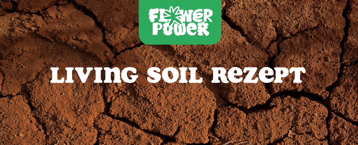 Schichtaufbau aus Erde, Kompost und Wurmhumus – Living Soil Rezept für nährstoffreiche biologische Erde