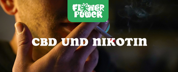 Person hält CBD-Vape statt Zigarette – CBD und Nikotin im Vergleich als Hilfe beim Rauchstopp.