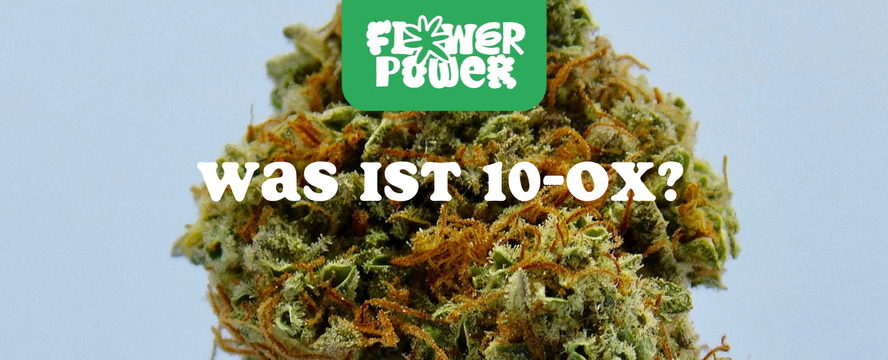 10-OX Cannabinoid Struktur – Einordnung eines oxidierten Cannabinoid-Derivats