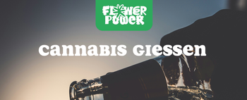 Pflanzenreihe unter LED-Licht – Cannabis gießen im Indoor-Grow mit kontrollierter Bewässerung.