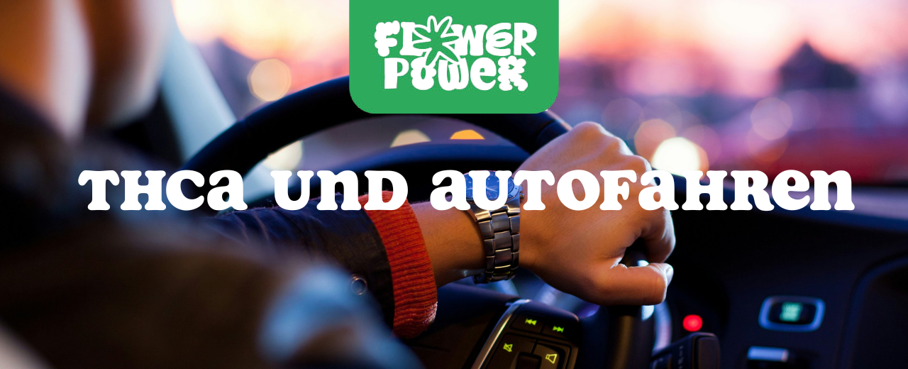 THCA-Produkt und Autoschlüssel auf Tisch – Symbol für Cannabis & Autofahren