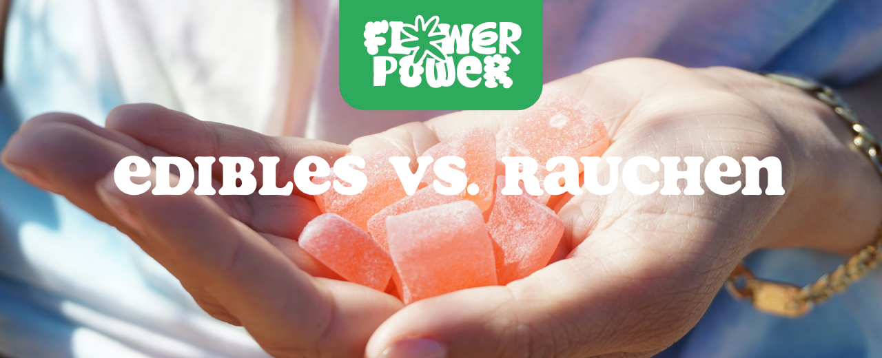 Tabelle mit Wirkungseintritt und Dauer – Edibles vs. Rauchen realistisch verglichen.