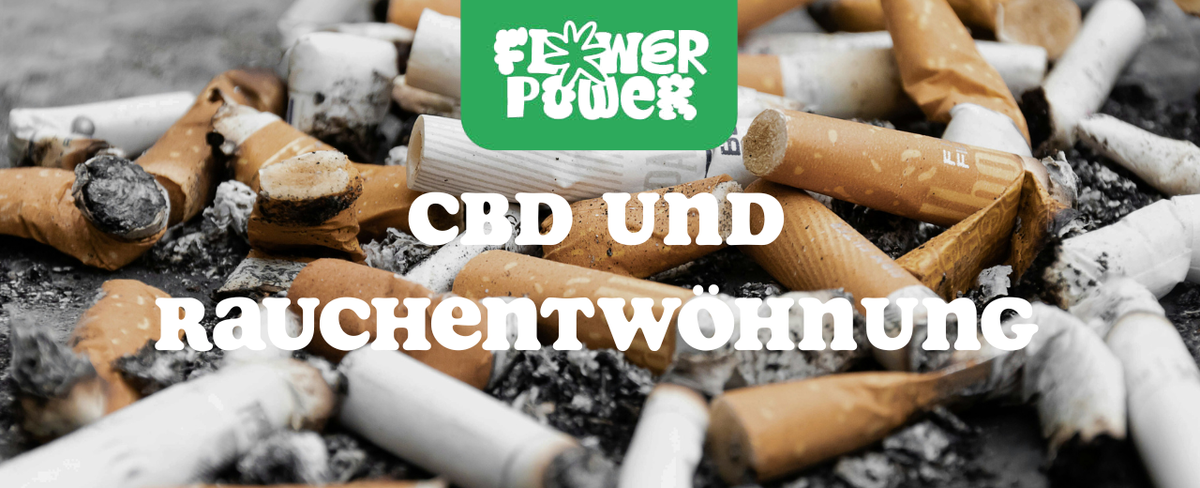 Person hält CBD-Vape statt Zigarette – CBD und Rauchentwöhnung als natürliche Alternative beim Aufhören
