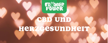 llustration eines roten Herzens mit Hanfblatt – CBD und Herzgesundheit im Zusammenhang mit Kreislauf und Entspannung.