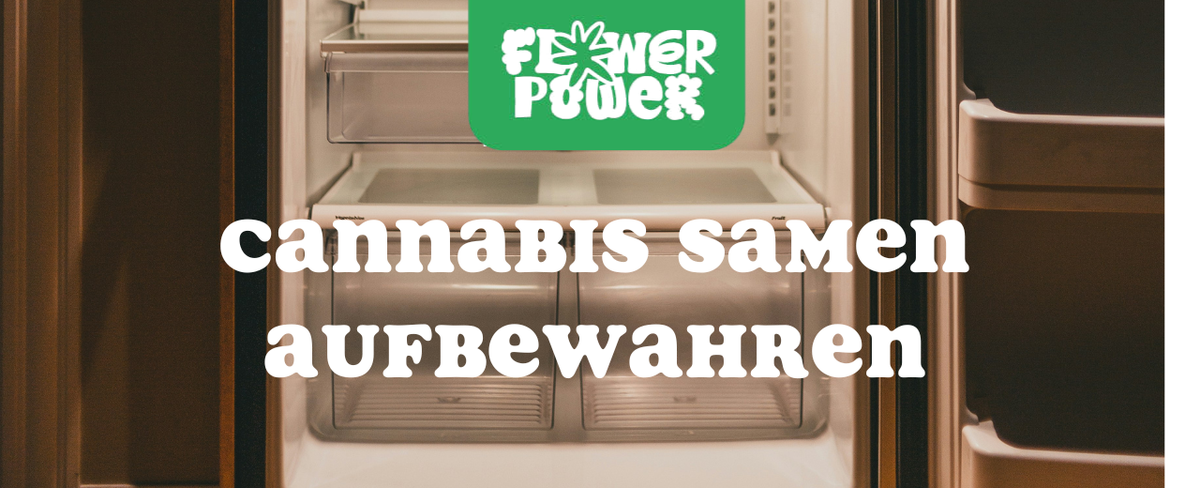 Cannabis im Karton trocknen – Anleitung und Aufbau der Trocknungsbox