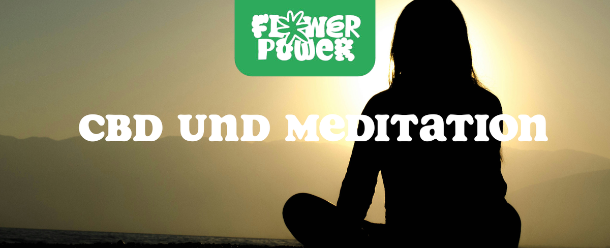 Person in Yoga-Pose auf Matte – CBD und Meditation im Zusammenspiel für mentale Klarheit und Stressabbau