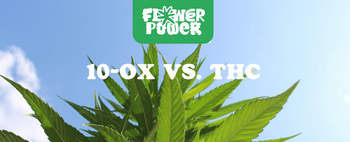 10-OX vs. CBD – Vergleich moderner Cannabinoide