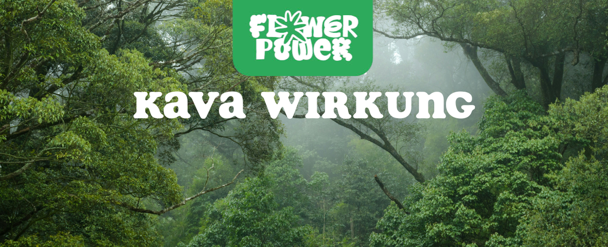 Traditionelle Kava-Schale mit braunem Getränk – Kava Wirkung und traditionelle Anwendung im Überblick.