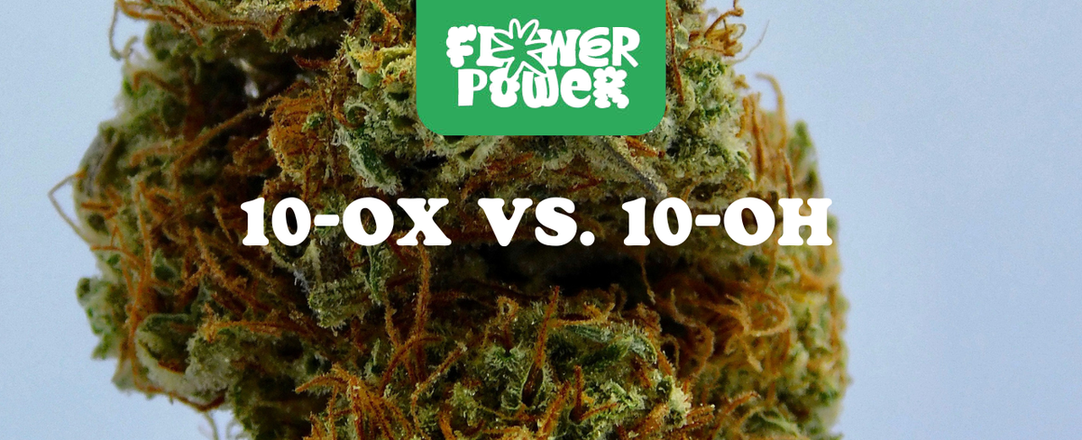 10-OX vs. 10-OH Cannabinoide – Unterschiede einfach erklärt“