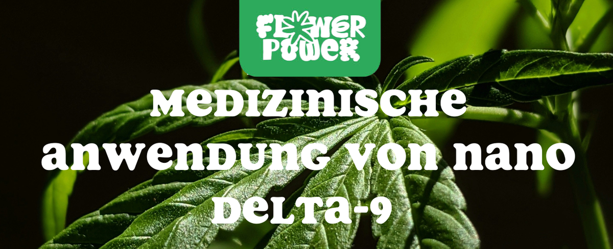 Laboraufnahme mit Pipette und goldenem Öl – medizinische Anwendung von Nano Delta-9 in moderner Cannabinoid-Therapie