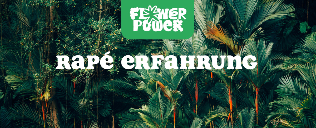 Person bei schamanischem Ritual mit Rapé-Pfeife – Rapé Erfahrung und traditionelle Anwendung erklärt.