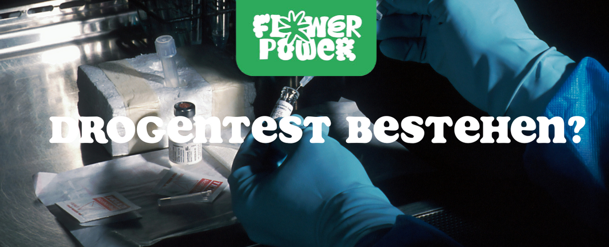 Hilft das Trinken von Milch, einen Drogentest zu bestehen?