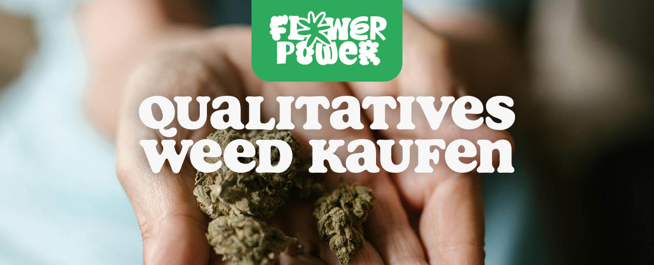 hände halten hochwertiges weed