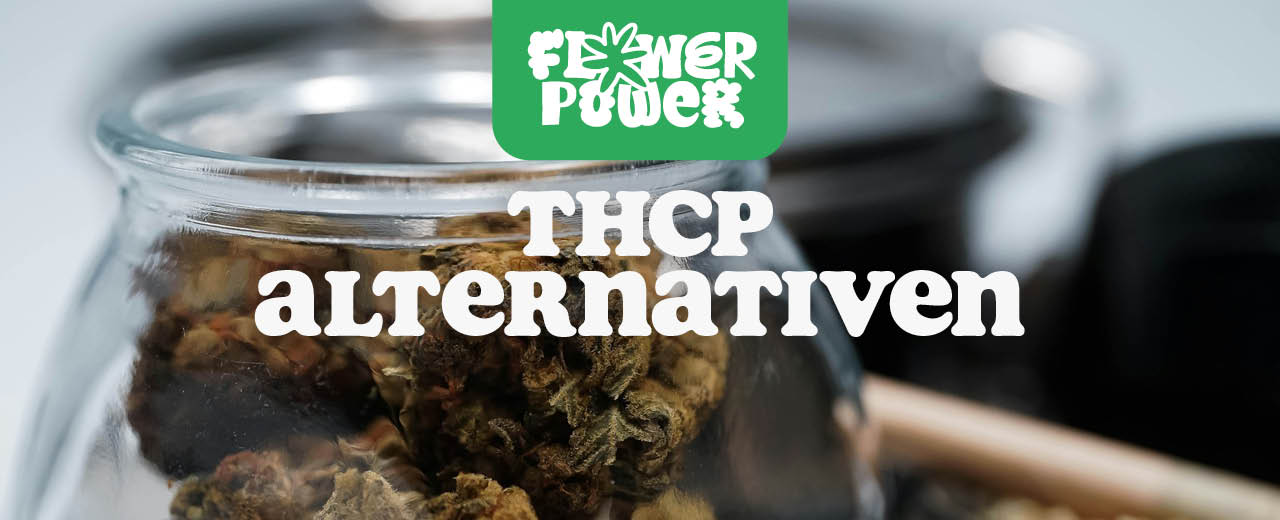 THCP Alternativen