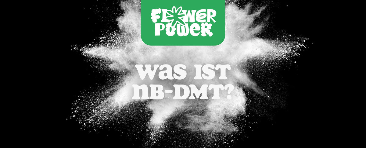 Was ist NB DMT?