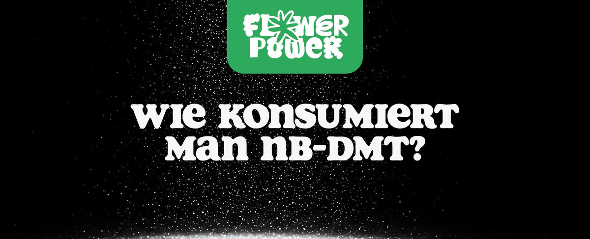 Konsum NB-DMT