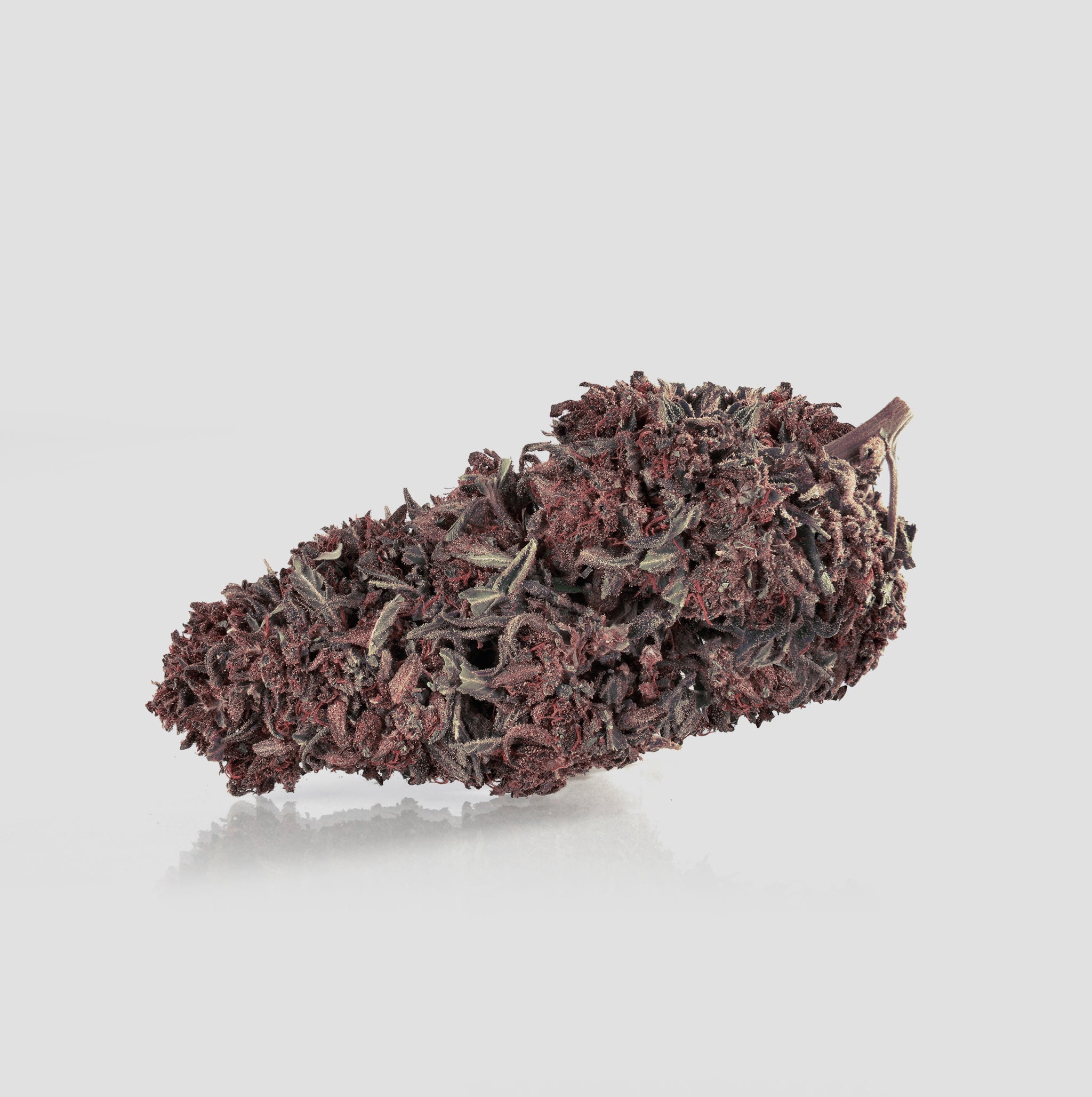 Flower_Power-Blueten-Purple-03 - Flower Power 