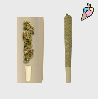 🍦 Gelato Prerolls - POWER LVL: 4/5 - Flower Power 