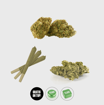 Dealers Choice Kit - nur 5€/g - Flower Power 