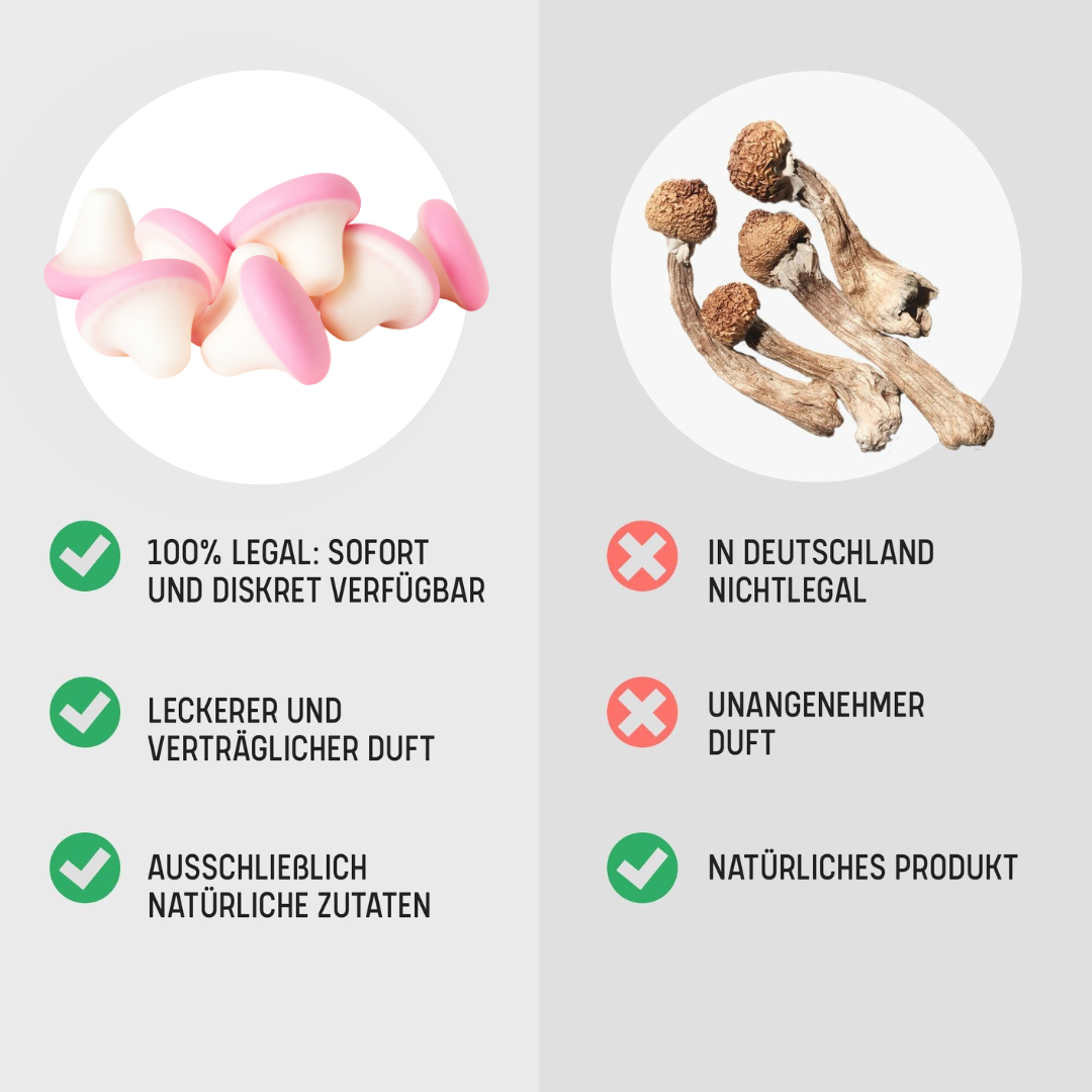 🍄 4-Pro-Met Mushroom Gummis