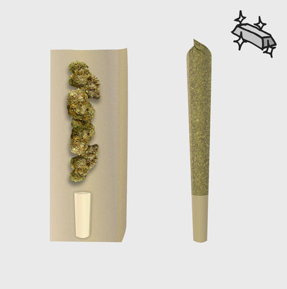 🪙 Super Silver Haze 10HC Prerolls - POWER LVL: 4/5 - Flower Power 