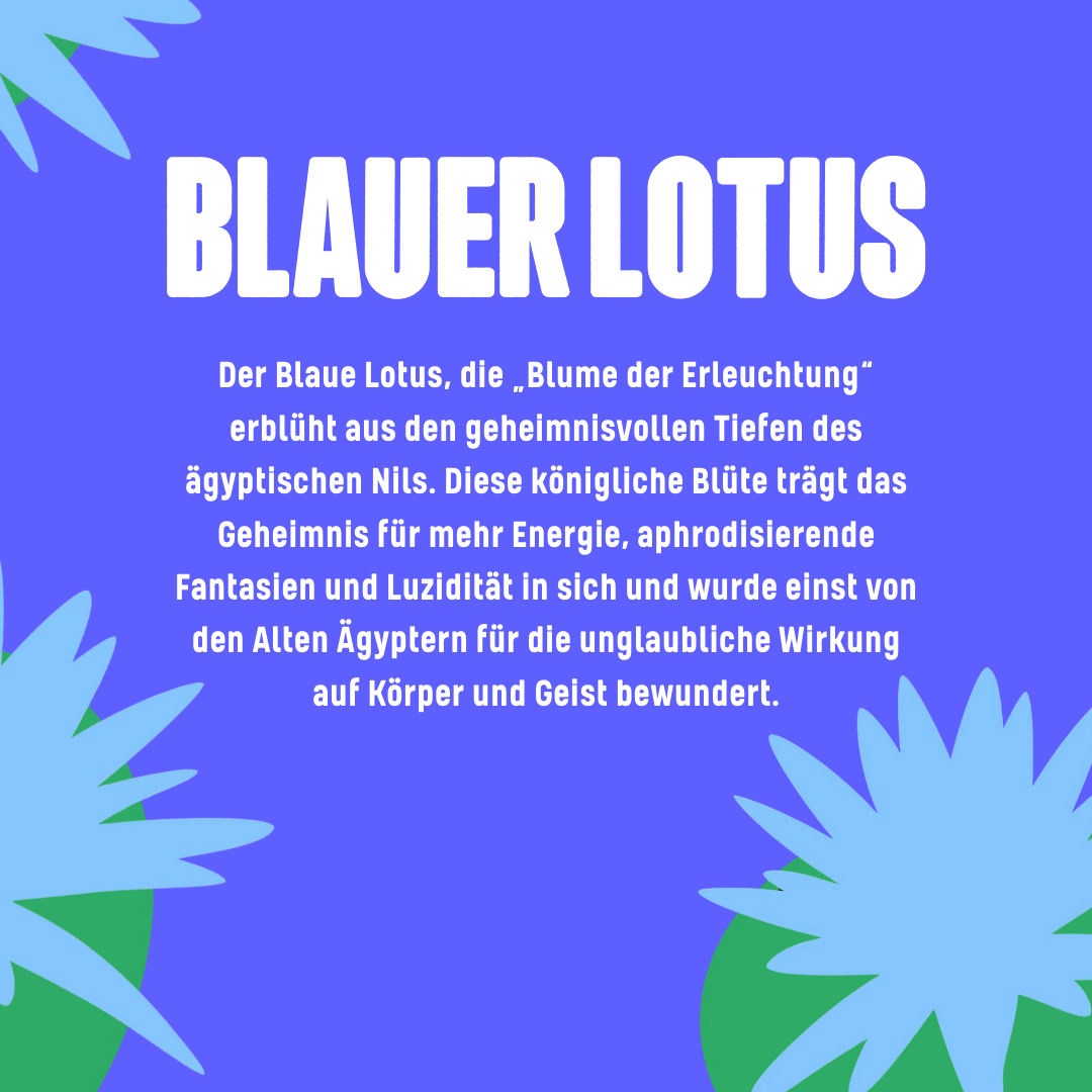 Blauer Lotus Hasch 🍫🪷 - Happy420.de