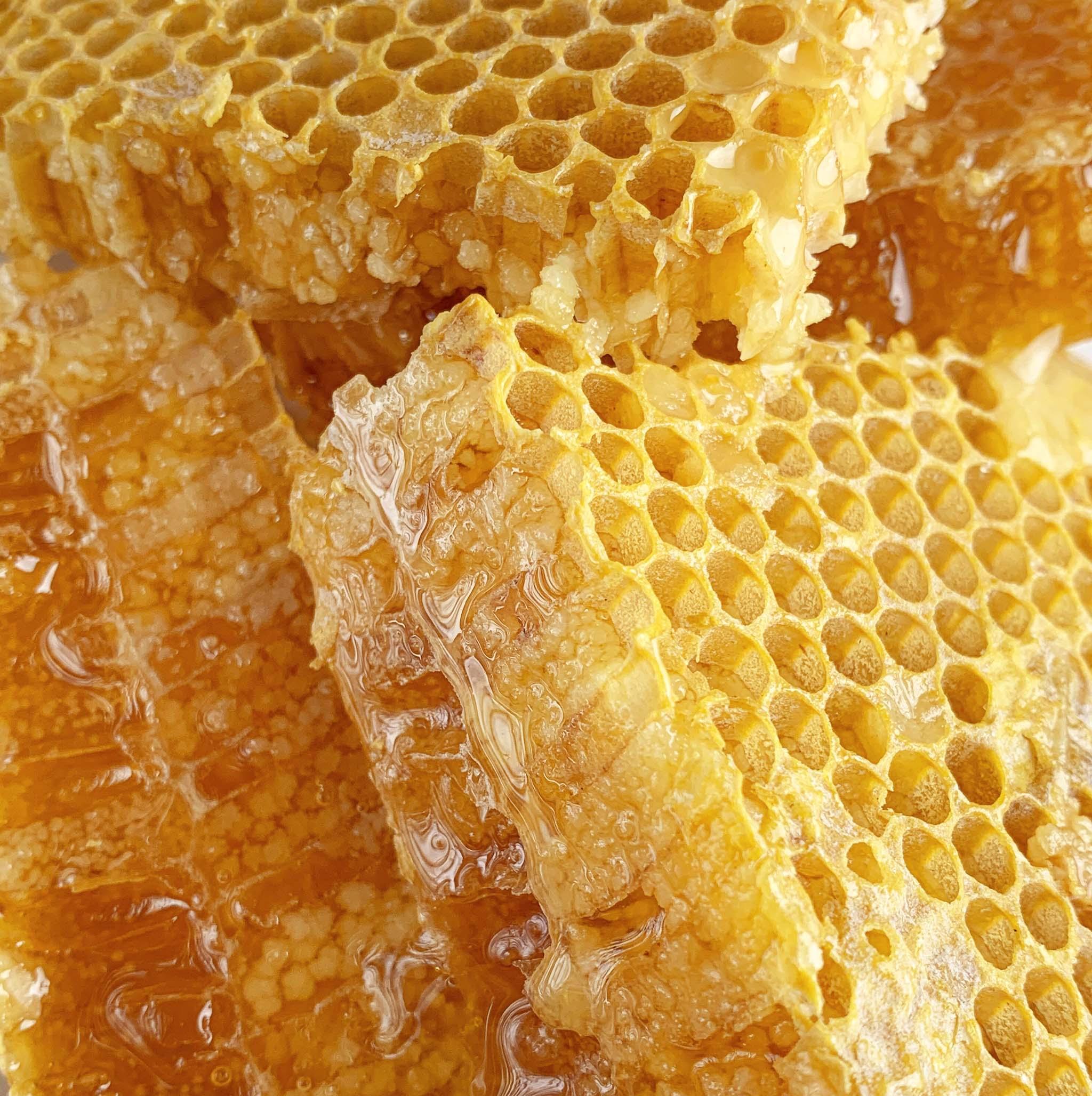 Natürlicher Honig in Waben, frisch und golden, ideal für natürliche Süßung