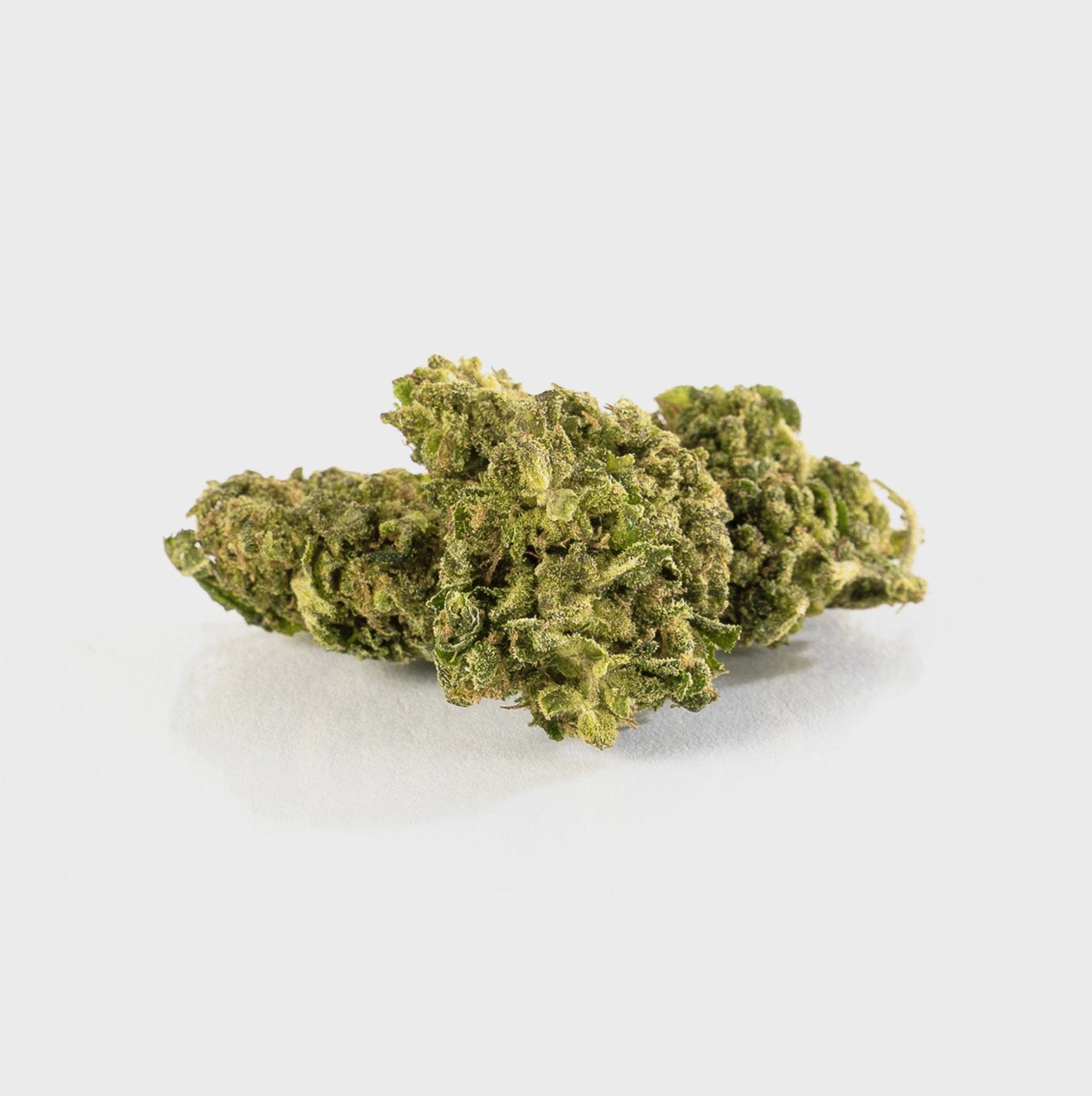 🍉 Melon Kush - POWER LVL: 4/5 - Flower Power 