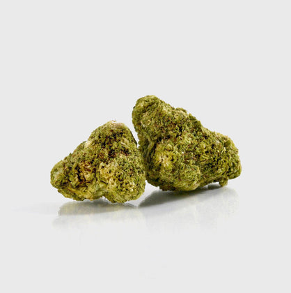 🍊 Tangie - POWER LVL: 4/5 - Flower Power 