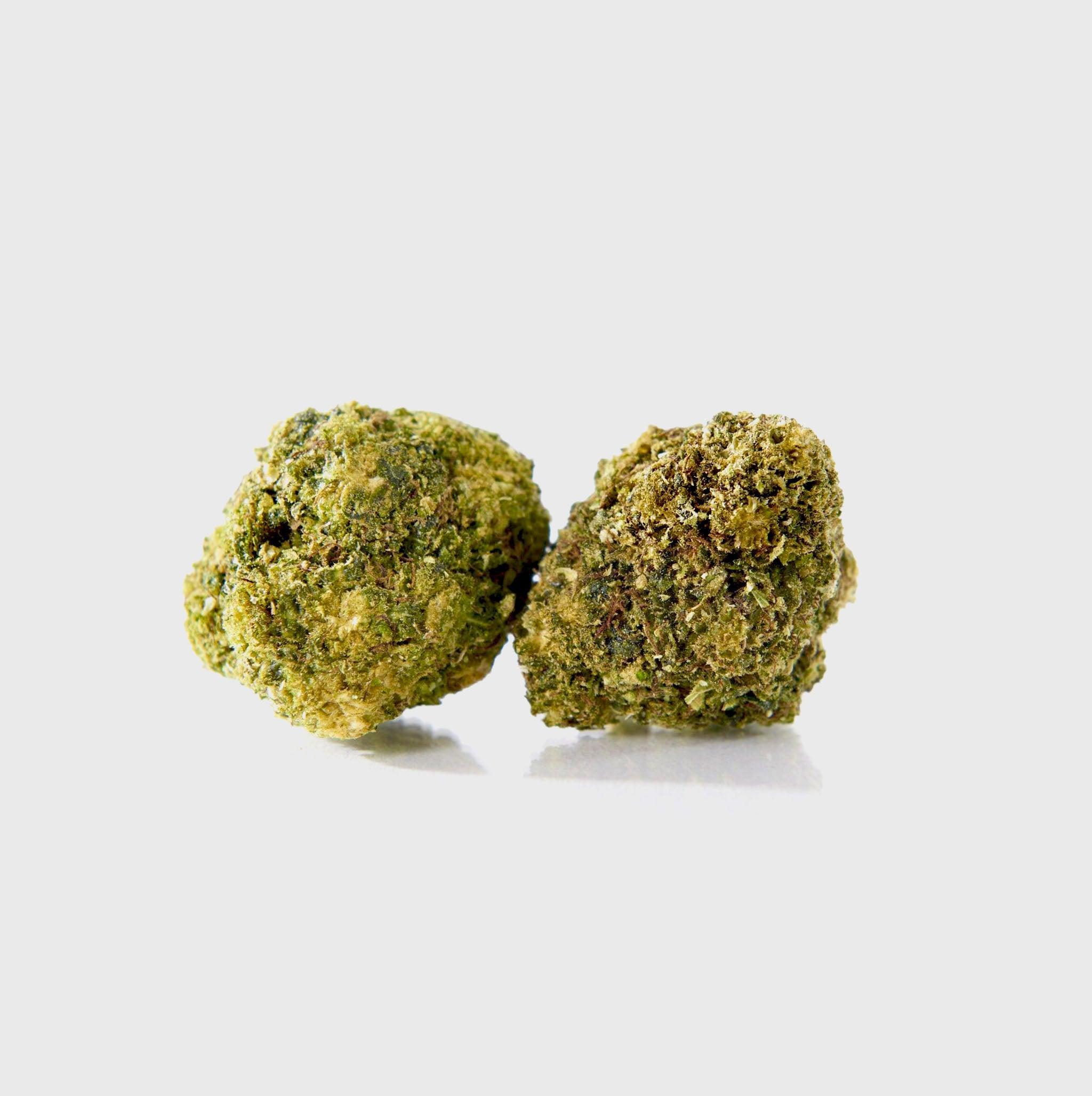 🍊 Tangie - POWER LVL: 4/5 - Flower Power 